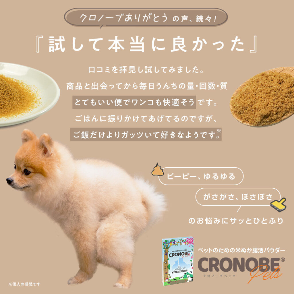 ペットの米ぬか腸活パウダー、クロノーブがお勧めです