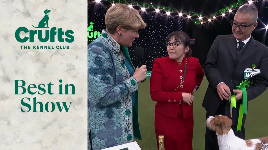 Crufts公式Youtube「Reserve Best In Show Interview | Crufts 2024」より参照