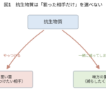 抗生物質が病原菌だけでなく腸内の善玉菌まで一緒に減らしてしまうことを、標的だけを狙えない様子で示した図
