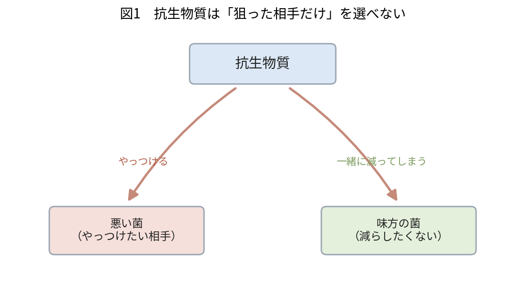 抗生物質が病原菌だけでなく腸内の善玉菌まで一緒に減らしてしまうことを、標的だけを狙えない様子で示した図