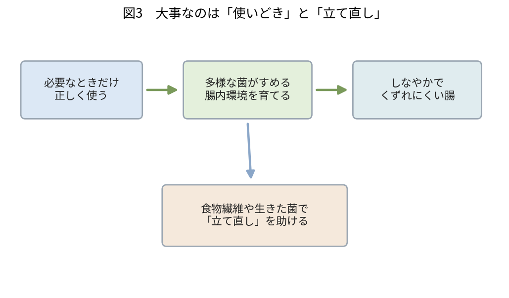 抗生物質を必要なときだけ使い、そのあと多様な菌がすめる腸内環境を育てて回復を助けるという考え方を示した図