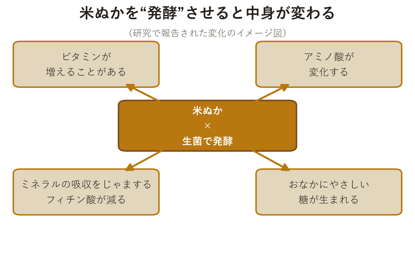 米ぬかを生菌で発酵させると中身が変わることを示した概念図