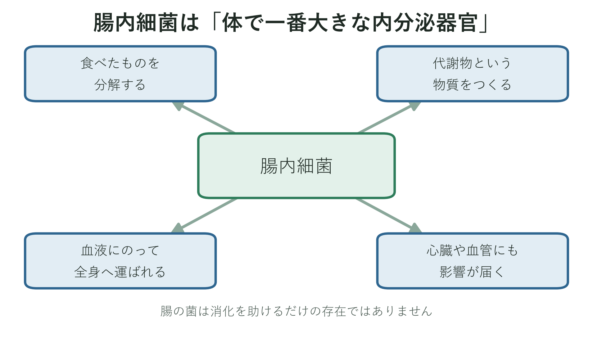 腸内細菌が食べたものから代謝物という物質を作り、消化だけでなく体じゅうに影響を届ける「体で一番大きな内分泌器官」のような働きを示した図