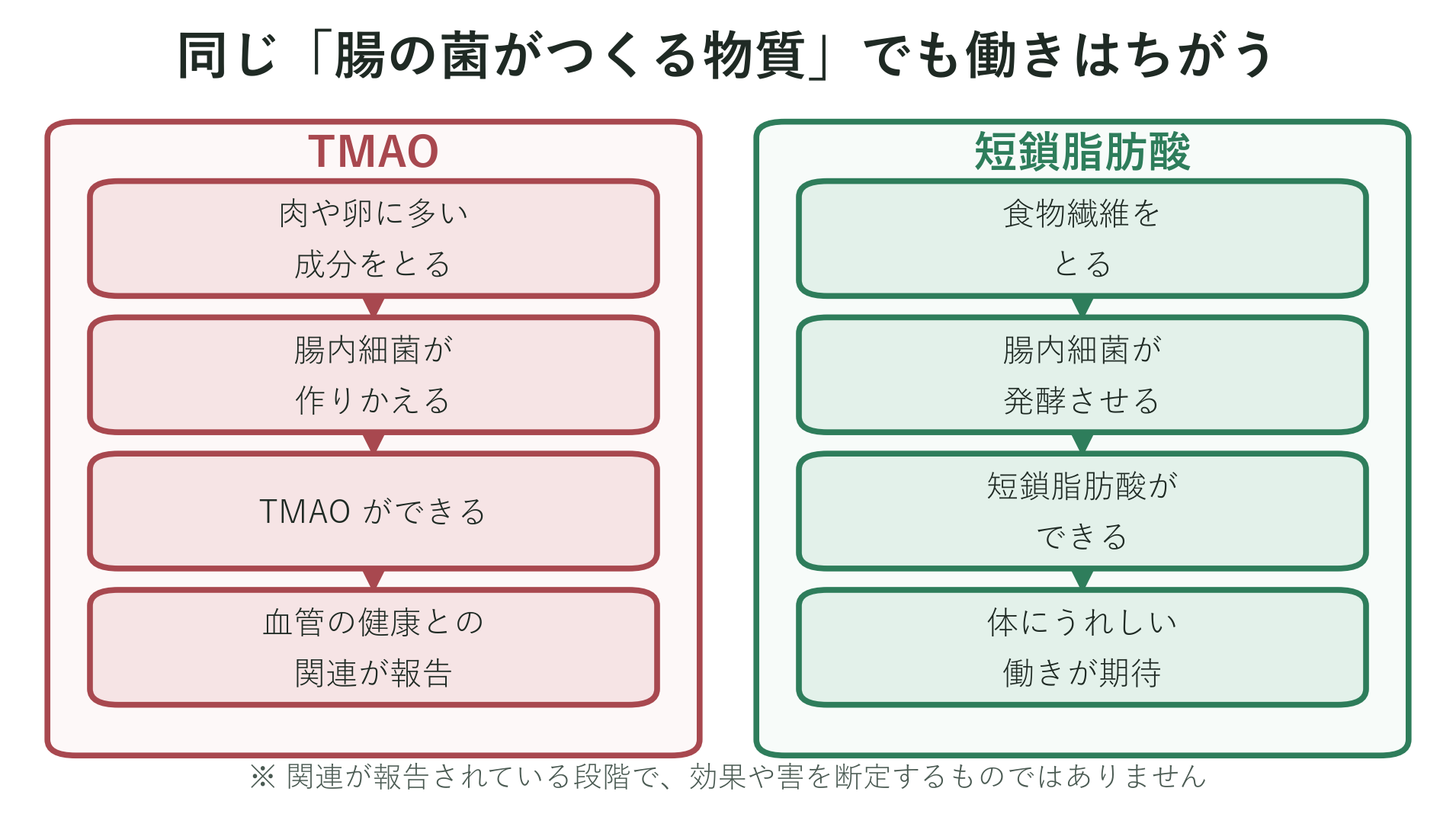 肉や卵に多い成分から腸内細菌がTMAOという物質を作り、それが血管の健康と関連すると報告されている流れと、短鎖脂肪酸のよい働きを対比した図