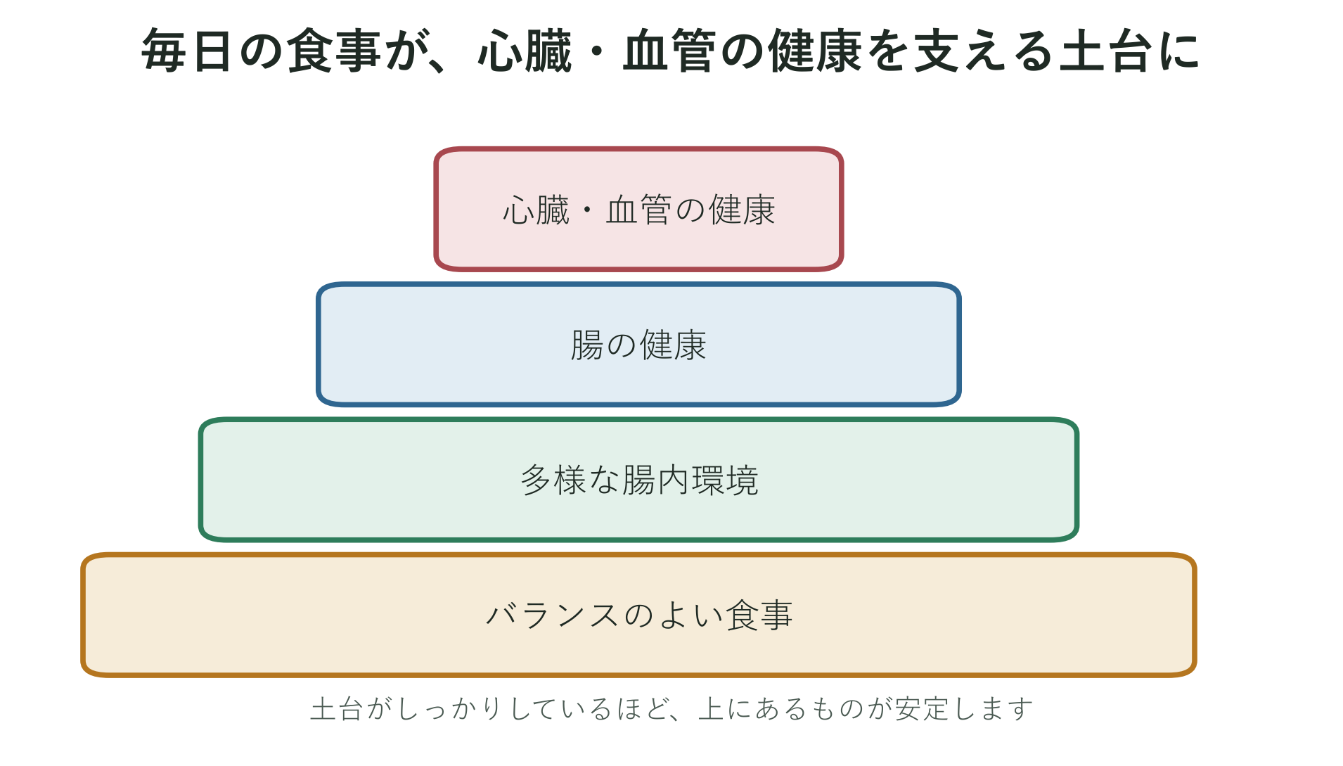 バランスのよい食事と多様な腸内環境が、腸から心臓・血管の健康まで支える土台になるという考え方を示した図