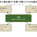 犬と猫の腸で生菌が働く4つの仕組みを示した概念図