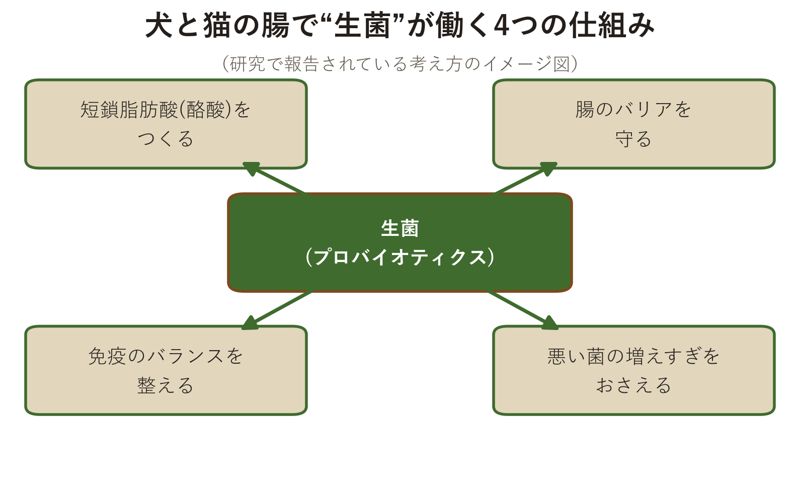 犬と猫の腸で生菌が働く4つの仕組みを示した概念図