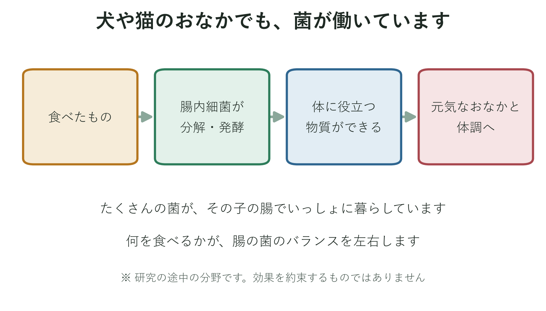 犬や猫のおなかにも腸内細菌がすんでいて、食べたものをもとに健康に役立つ物質を作る様子を示した図
