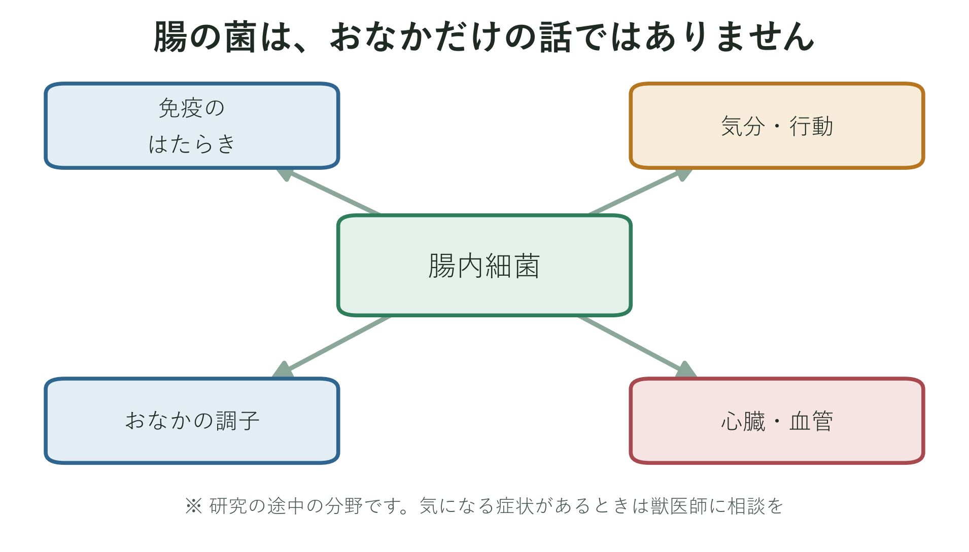 腸内細菌が犬や猫のお腹だけでなく、免疫・気分(行動)・心臓など全身に関わることを示した図