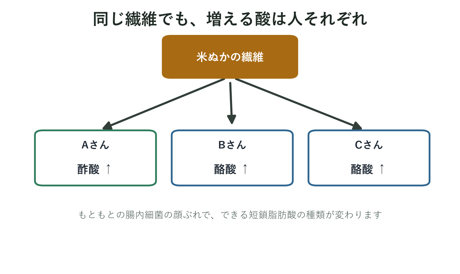 同じ米ぬか繊維でも人によって増える短鎖脂肪酸の種類が違うことを示した図