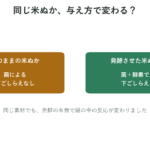 そのままの米ぬかと発酵させた米ぬかを比べる概念図