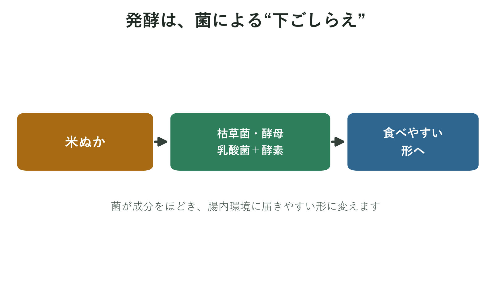 発酵は米ぬかを菌と酵素で下ごしらえして食べやすい形に変える工程だと示した図
