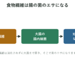 食物繊維が大腸の腸内細菌のエサになり短鎖脂肪酸などがつくられる流れを示した図