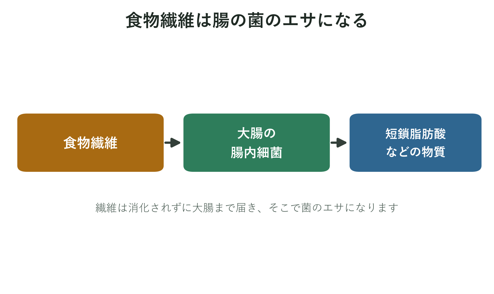 食物繊維が大腸の腸内細菌のエサになり短鎖脂肪酸などがつくられる流れを示した図