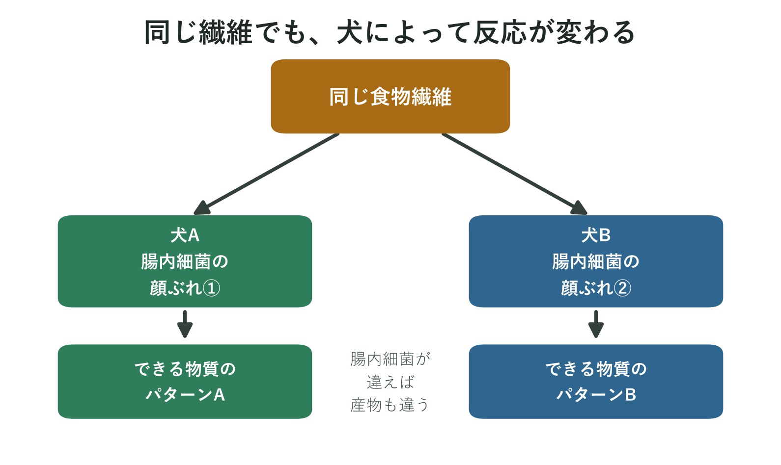 同じ食物繊維でも犬ごとの腸内細菌の違いでできる物質のパターンが変わることを示した図