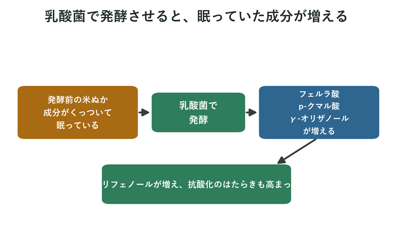 発酵で米ぬかの抗酸化成分が増えるながれの図