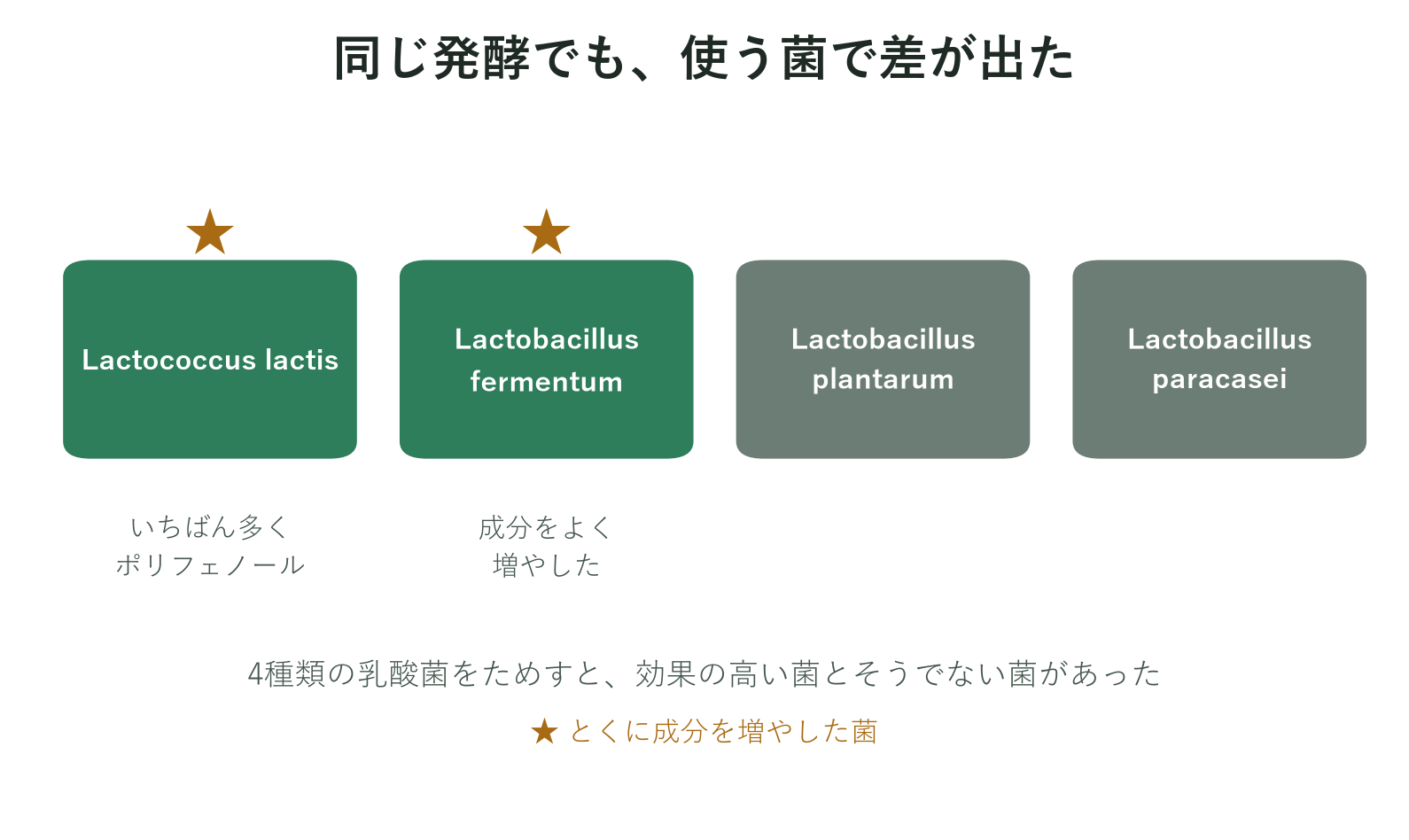 発酵に使った4種類の乳酸菌と効果的だった菌を示した図