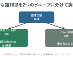 16頭の猫を2群に分け3種類の菌を4週間与えた試験デザインの図
