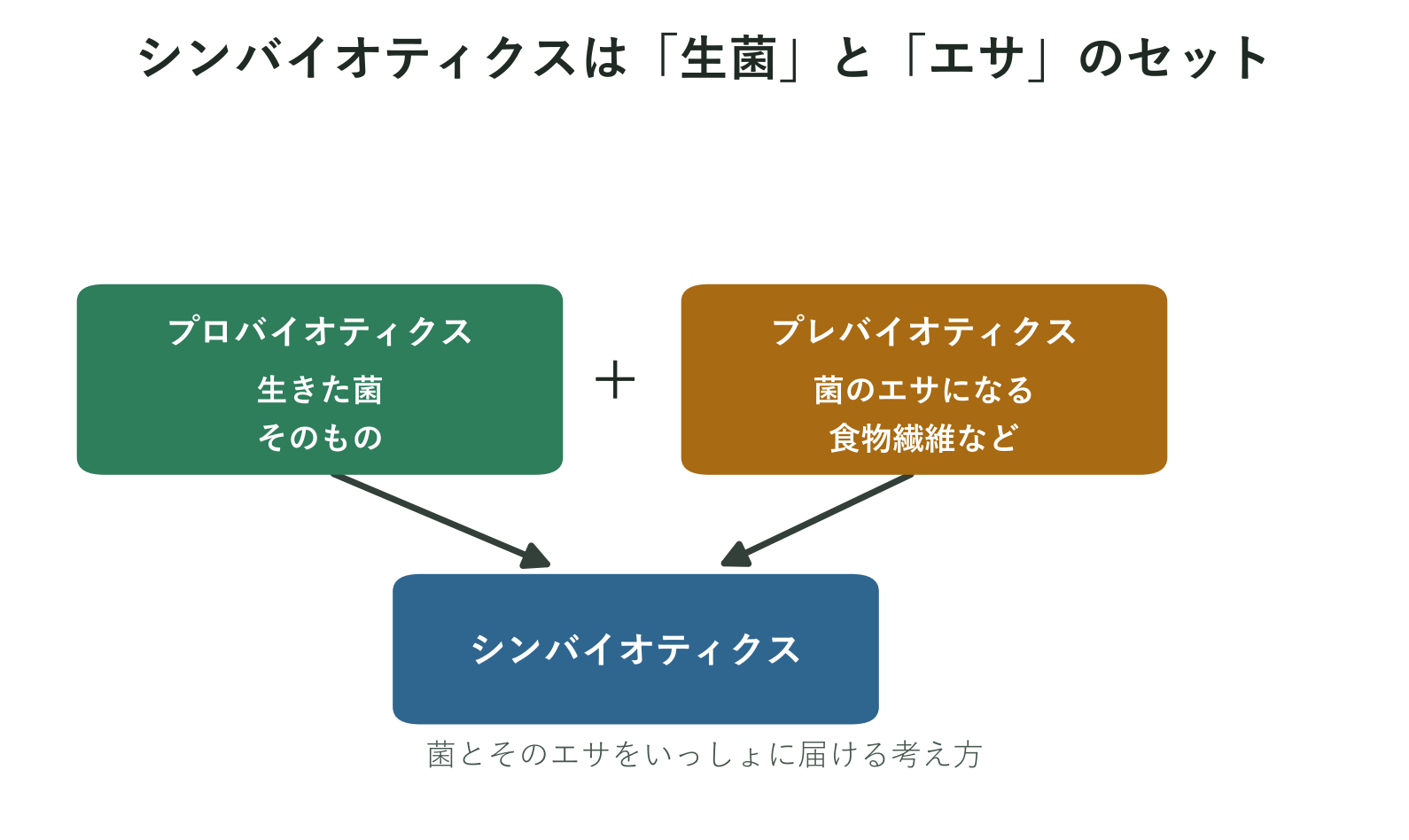 生菌とエサになる繊維を合わせるシンバイオティクスの考え方の図