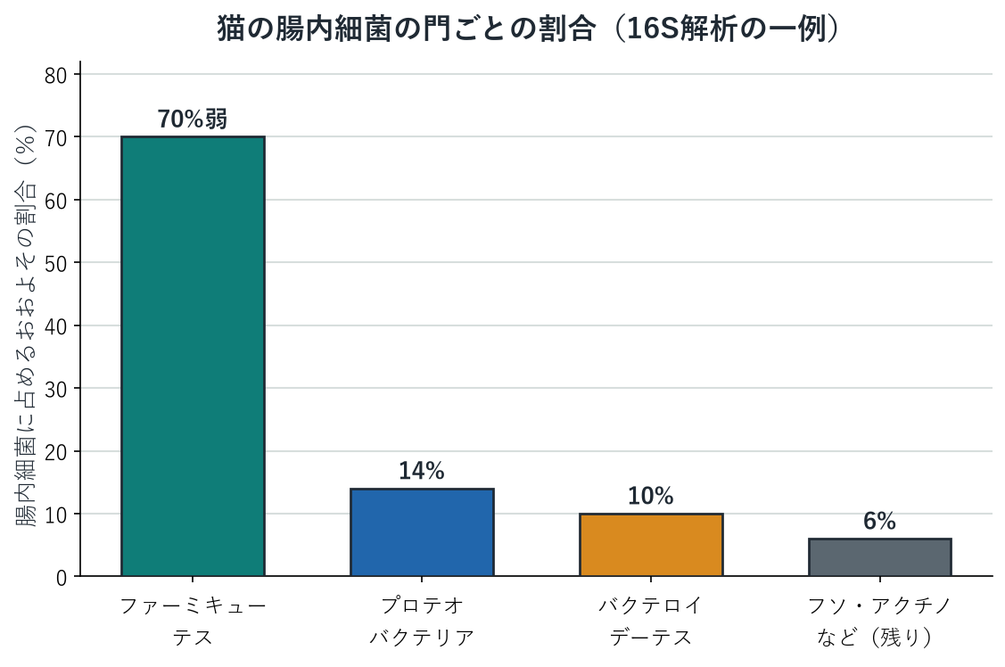 猫の腸内細菌のおもな門ごとのおおよその割合を示した棒グラフ