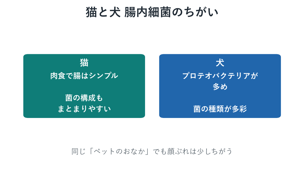 猫と犬の腸内細菌のちがいを比べたイメージ図