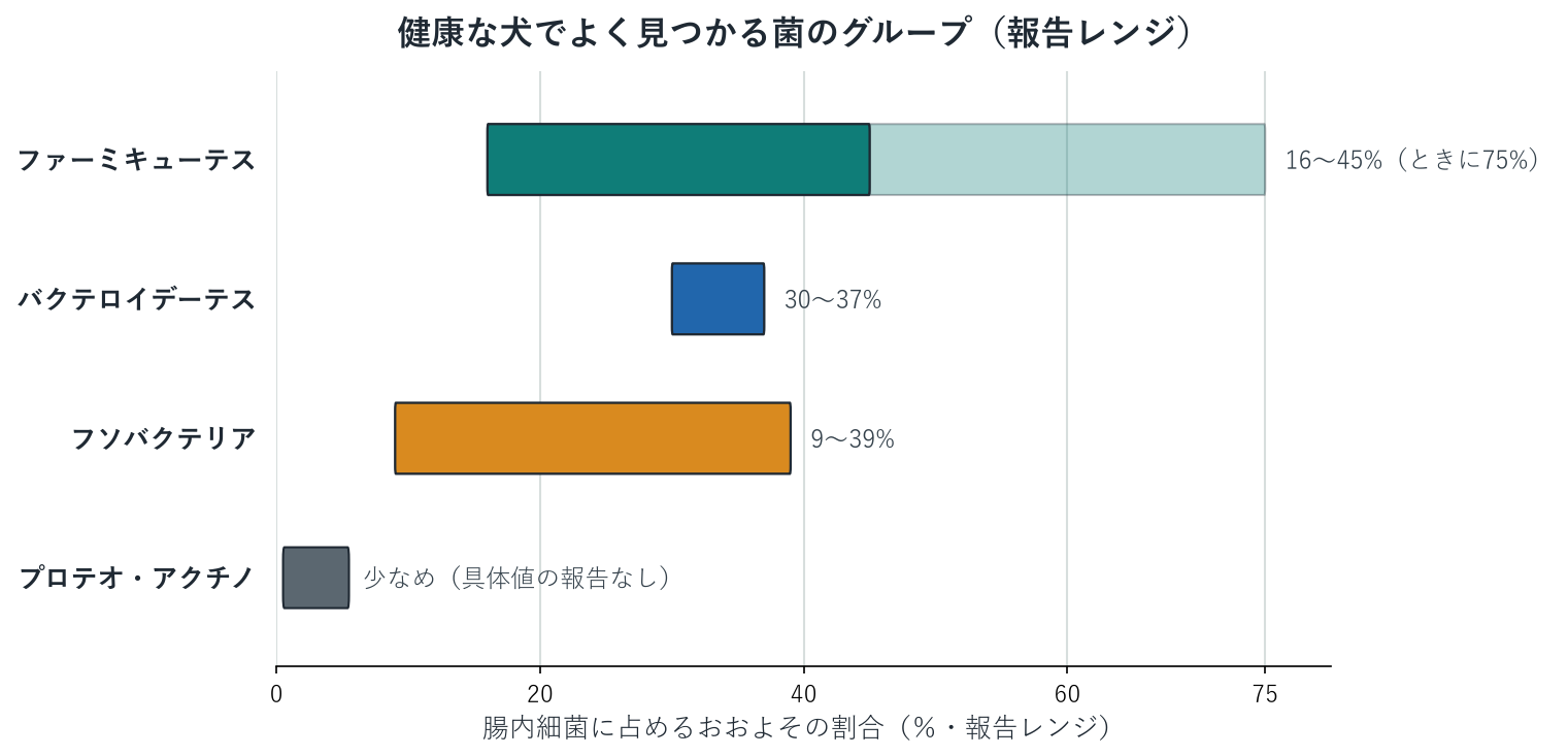 健康な犬の腸内細菌のおもな門ごとの報告レンジを示した図