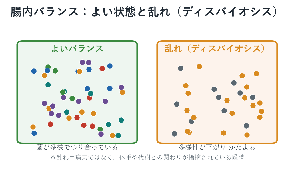 腸内バランスのよい状態と乱れた状態を比べたイメージ図