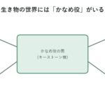 数は少なくても腸内環境全体を支える「かなめ役」の菌の位置づけを示した図