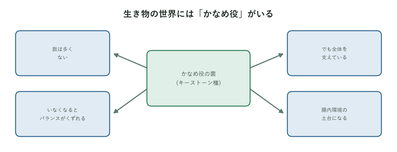 数は少なくても腸内環境全体を支える「かなめ役」の菌の位置づけを示した図