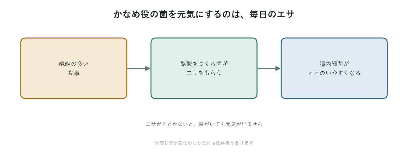 繊維の多い食事が酪酸をつくる菌のエサになり腸内環境がととのう流れの図